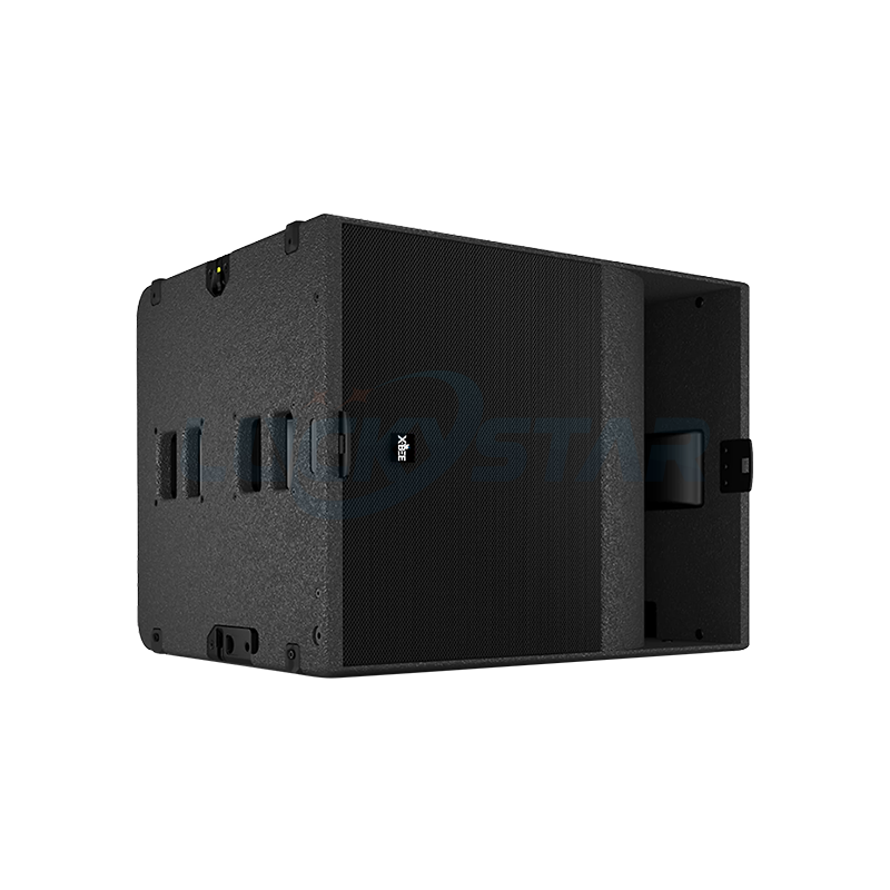 X-BEE KS21 Stage Speaker